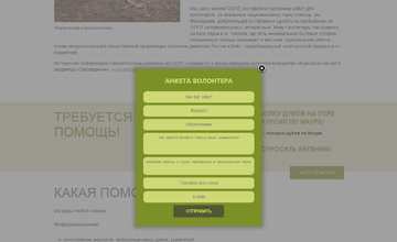 Анкета волонтера